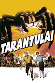 Tarantula