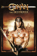 Conan the Barbarian / Conan the Destroyer (Double Feature)